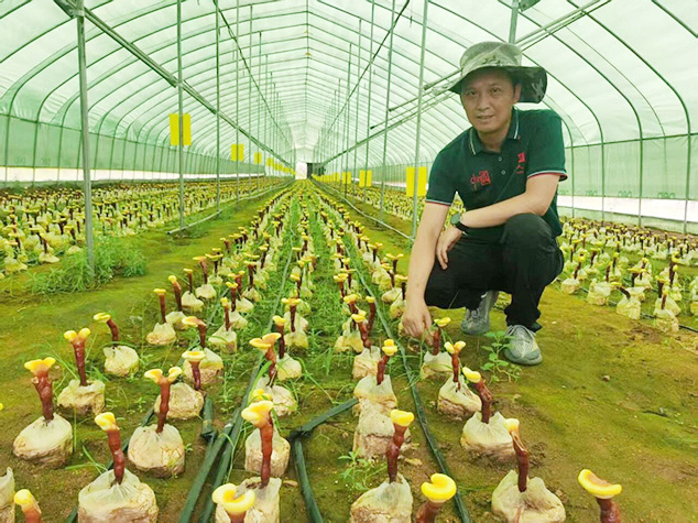 热烈祝贺芝人堂董事长田克赞当选中国食用菌协会药用真菌专委会副主委