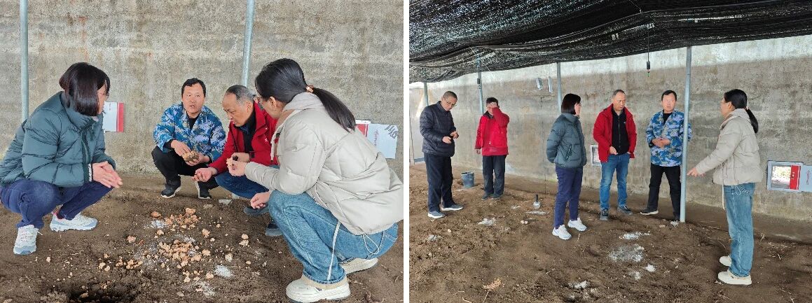 省级专家考察指导，赋能芝人堂泰山灵芝源头生产基地发展