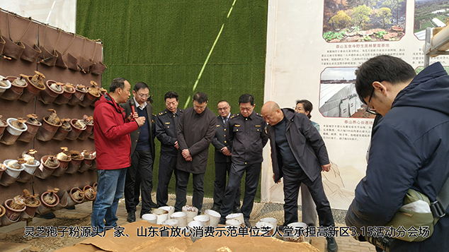 灵芝孢子粉哪家好？315品质答卷！芝人堂分会场彰显灵芝源头厂家实力